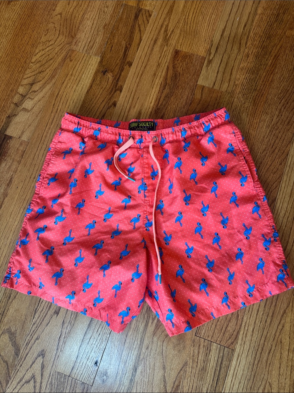 Surf Society Men's Coral Shorts with Blue Flamingo Print